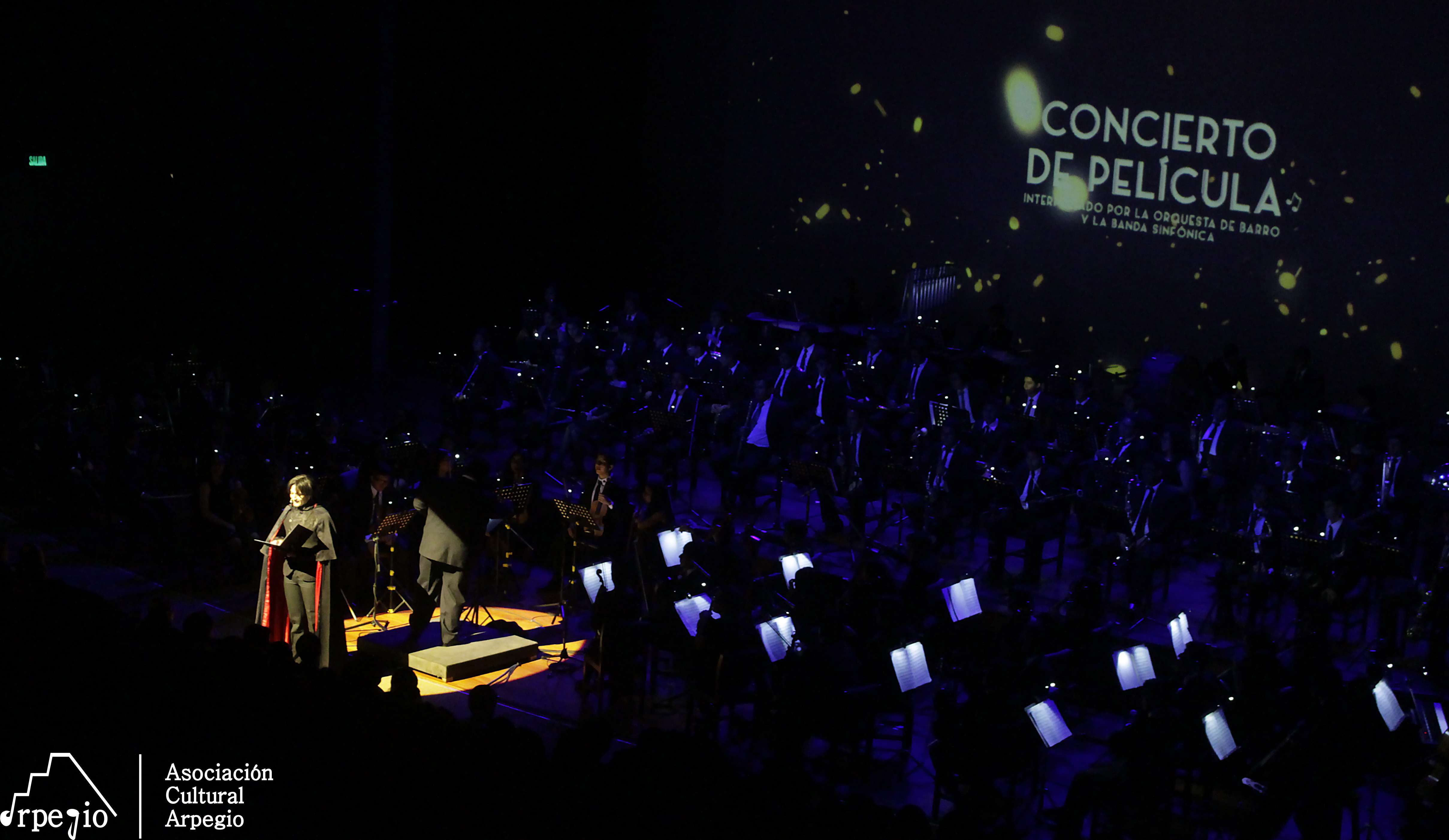 CONCIERTO DE PEL&Iacute;CULA